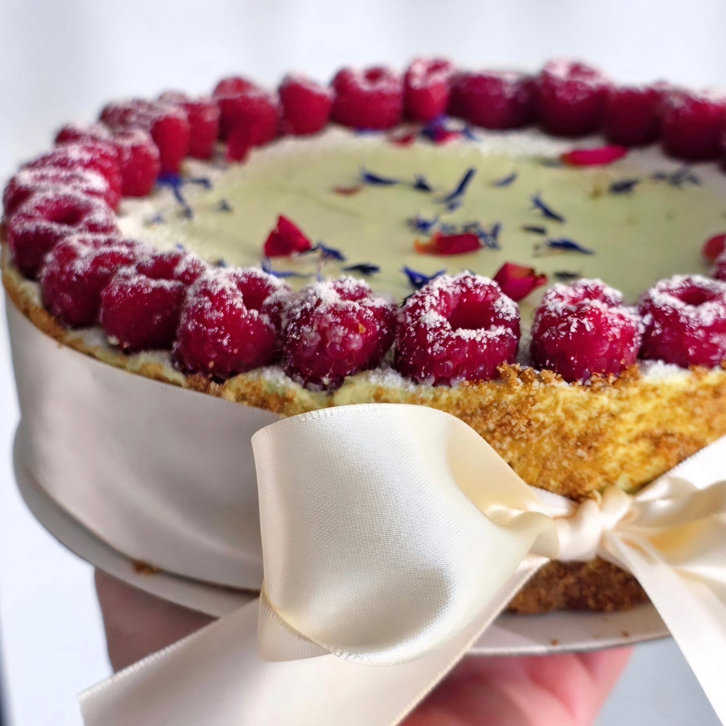 Whole Matcha & White Chocolate Cheesecake 7"